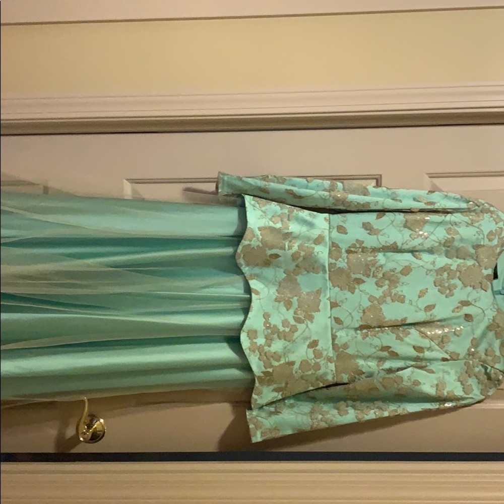 Beautiful mint and gold evening gown